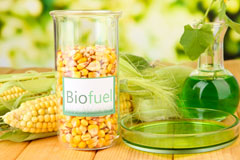 Sycamore biofuel availability