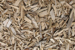 biomass boilers Sycamore